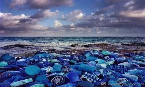 海洋环保公益活动来袭！带上瓶子一起参与吧！(图1)